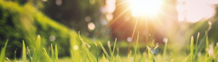 Brunnenbau: Fragen und Antworten